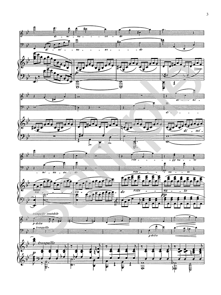 Hildegard Publishing Company Piano Trio g moll noty digitální vydání